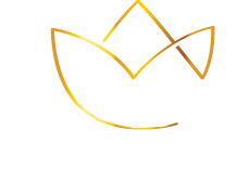 Saavi Financial